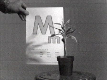 John Baldessari, Teaching a Plant the Alphabet, 1972, Courtesy Electronic Arts Intermix (EAI), New York