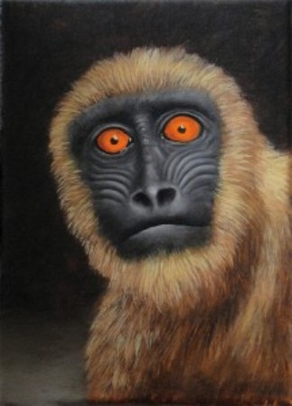 Schmidt-Rigo-Golden-Eye_2011_WEB-216x300